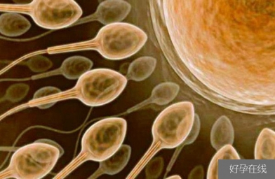 南宁备孕试管婴儿知识_超级精子是什么，精子活力太高也会造成不育？