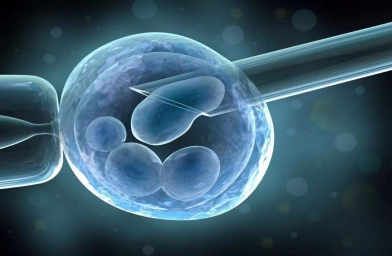南宁格鲁吉亚ReproArt诊所专家解释取卵对卵巢的伤害大吗？