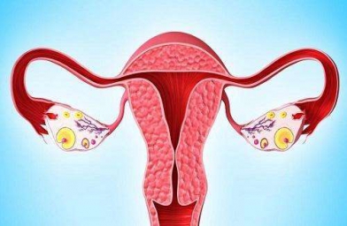 南宁格鲁吉亚ReproArt诊所专家解释取卵后卵巢该如何保养？