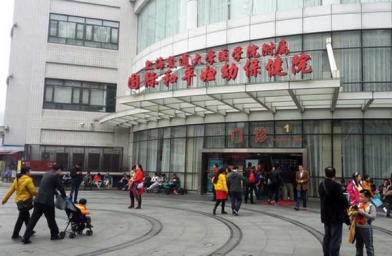 南宁上海做试管助孕，上海国妇婴试管婴儿成功率和费用是怎样？